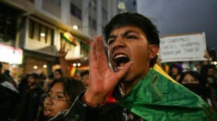 El conteo final de votos ratifica a Paz como presidente electo de Bolivia