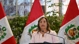Boluarte promulga en Perú ley de amnistía a militares cuestionada por organismos de DDHH