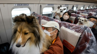 Sonderfahrt f&uuml;r Hunde in japanischem Hochgeschwindigkeitszug 
