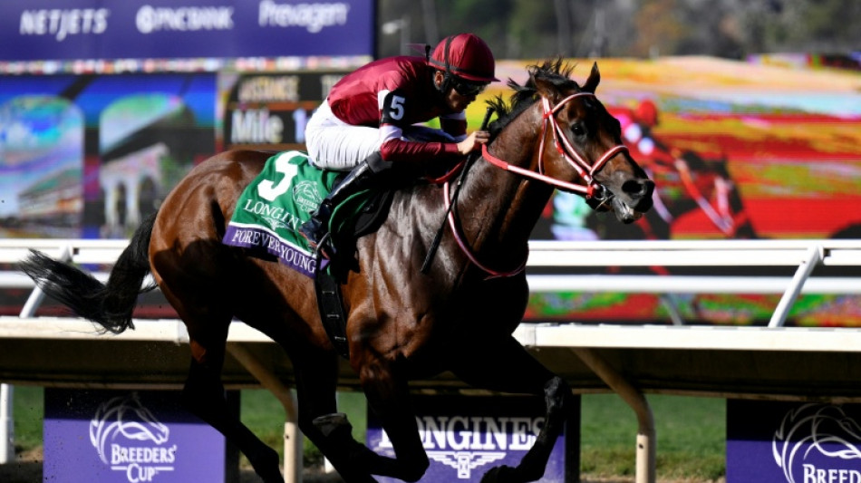 Forever Young gives Japan first Breeders' Cup Classic triumph