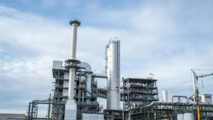 Germany unveils rescue plan for struggling chemical sector