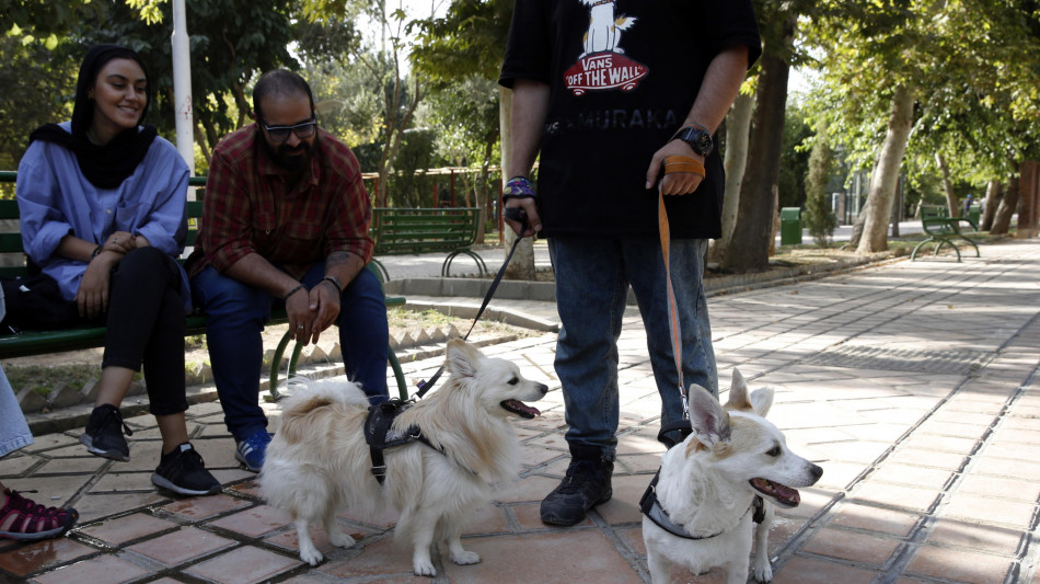 L'Iran estende il divieto di portare a spasso i cani