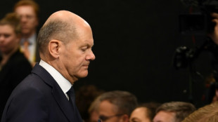 Alemanha: Scholz estaria disposto a se submeter a voto de confian&ccedil;a