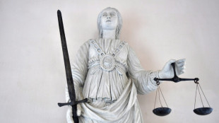 Hitlergruß-Posting: AfD-Europapolitiker Bystron zu Geldstrafe verurteilt