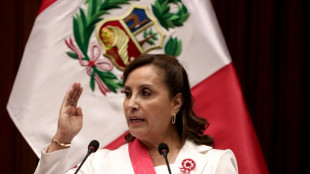 Presidente peruana viaja &agrave; c&uacute;pula amaz&ocirc;nica no Par&aacute;, sua primeira sa&iacute;da ao exterior