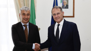 Martusciello (Fi),"se Cirielli &egrave; pronto,noi pronti a sostenerlo"