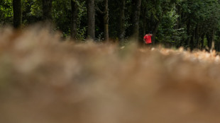 &Eacute;ni&egrave;me journ&eacute;e &eacute;cras&eacute;e par la chaleur avant une am&eacute;lioration, feu d'ampleur dans les Landes