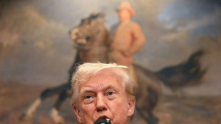 Trump says tariffs are making US 'great & rich' again