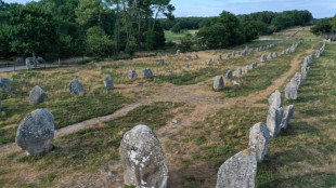 Unesco: "sprint final" pour les m&eacute;galithes de Carnac