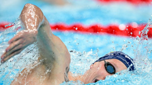 Schwimm-WM: Wellbrock als Schnellster ins 1500-m-Finale