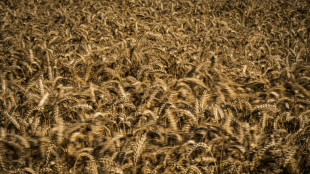 USA und Russland machen sich gegenseitig f&uuml;r schlechte Ern&auml;hrungslage verantwortlich