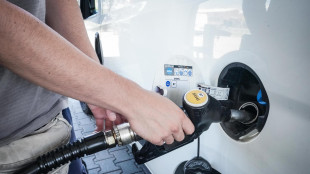 Prezzi medi carburanti poco mossi, verde al self 1,735 euro