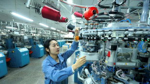 China factory activity loses steam in January
