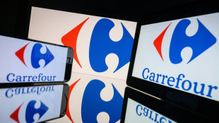 Carrefour veut passer une cinquantaine de magasins en location-g&eacute;rance cette ann&eacute;e