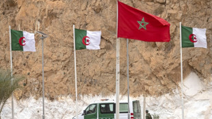 El plan de autonom&iacute;a marroqu&iacute; para el S&aacute;hara occidental 