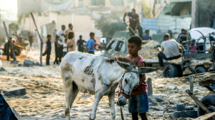 Israël annonce de premières livraisons d'aide humanitaire à Gaza