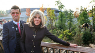 La Chine enverra deux nouveaux pandas g&eacute;ants en France d'ici &agrave; 2027