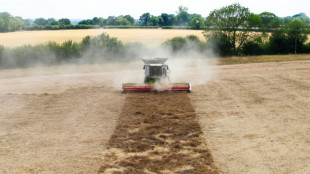 Au Royaume-Uni, la s&eacute;cheresse des terres agricoles menace la s&eacute;curit&eacute; alimentaire