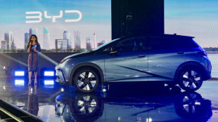 COP-and-trade? Tariffs, carbon tax weigh on climate talks