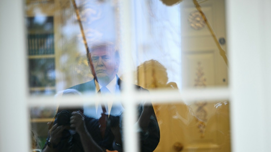 Stocks rally, oil extends losses as Trump fans fresh peace hopes