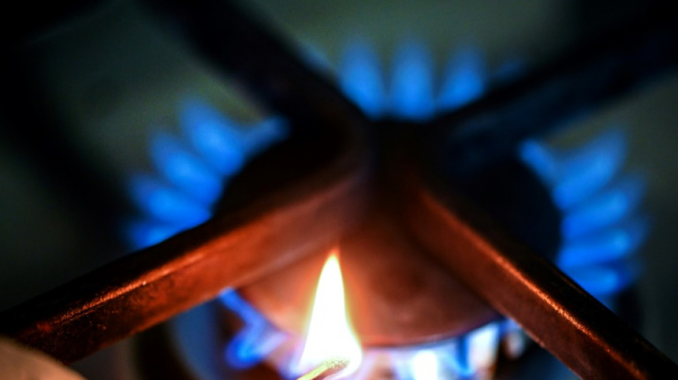 Noruega, "esc&eacute;ptica" con la limitaci&oacute;n del precio del gas