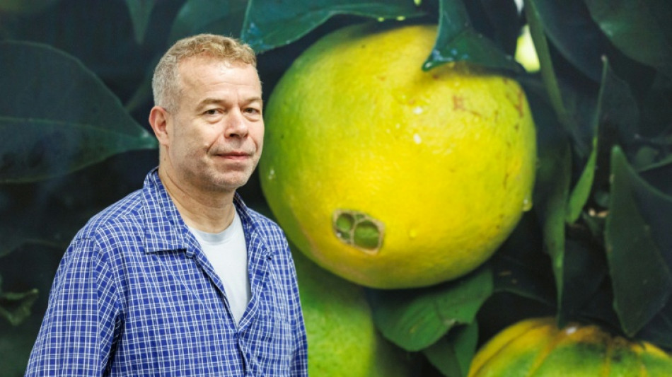 Band Bronski Beat half Star-Fotograf Wolfgang Tillmans beim Outing