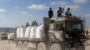 Media, camion con aiuti egiziani stanno entrando a Gaza