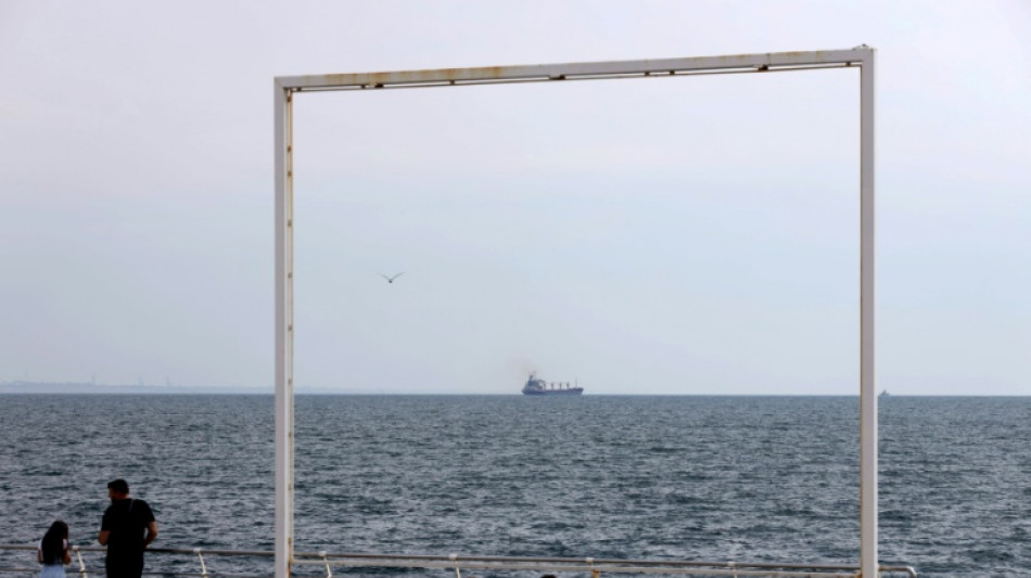 El primer barco con cereales ucranianos es esperado en Estambul "despu&eacute;s de la medianoche"