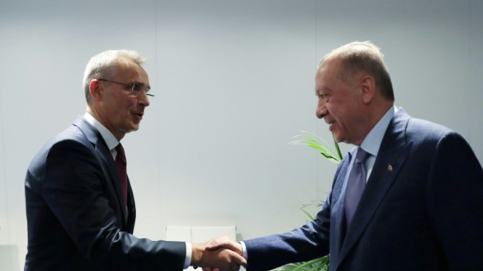 T&uuml;rkei gibt &uuml;berraschend gr&uuml;nes Licht f&uuml;r Nato-Beitritt Schwedens und Finnlands