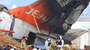 Disastro aereo in Corea Sud, &egrave; stato spento il motore sbagliato