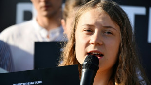 Greta Thunberg fined for disobeying Sweden police, denies crime