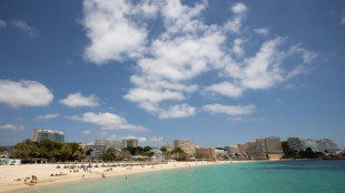 Cinco franceses y un suizo detenidos en Mallorca por violaci&oacute;n grupal a una turista