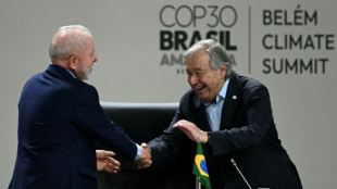 UNO prangert bei Klimagipfel in Belém Scheitern bei Erreichen des 1,5-Grad-Ziels an