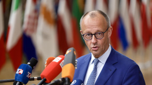Merz, chiudere rapidamente accordo su dazi con Usa