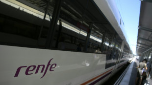 Espagne: un fiasco sur la taille de trains entra&icirc;ne la d&eacute;mission du patron de la Renfe
