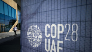 A la COP28, des discours enflamm&eacute;s de dirigeants mais pas de perc&eacute;e sur les fossiles