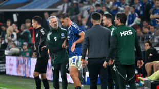 Katic erleidet Gehirnerschütterung bei Schalke-Debüt