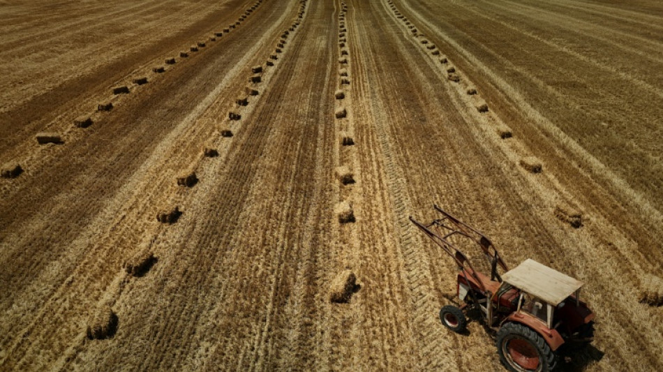 L'Assembl&eacute;e adopte la loi d'urgence agricole, malgr&eacute; les tensions entre le gouvernement et ses troupes