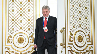 Cremlino, 'lavoro complesso per incontro Putin-Zelensky'