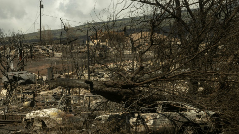 Mueren dos ciudadanos mexicanos en los incendios en Haw&aacute;i