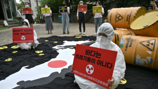Jap&oacute;n planea construir reactores nucleares de nueva generaci&oacute;n