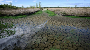 France: presque pas de pluie en septembre, la s&eacute;cheresse des sols &agrave; un niveau historique