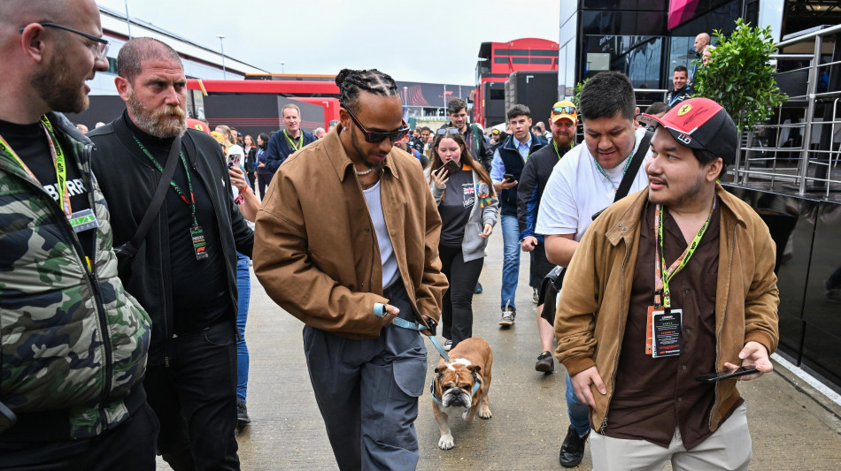 F1: in ansia per la salute del cane, Hamilton salta test Mugello