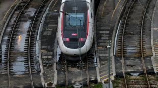 Grève: début de semaine calme dans les gares, et des retours dimanche garantis selon la SNCF