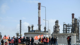 La gr&egrave;ve &agrave; la raffinerie de Donges entre dans sa 5e semaine