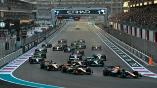 Norris conquista el Mundial de F1 pese a la remontada loca de Verstappen