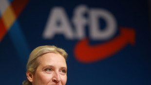 Afd cresce ancora nei sondaggi in Germania, &egrave; seconda al 22%