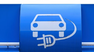 E-Autos: Deutsche Konzerne bei Neuzulassungen vorn - Boom bleibt aber aus