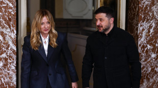 Zelensky, 'possiamo lavorare con Italia a produzione antiaerea, ne abbiamo bisogno'