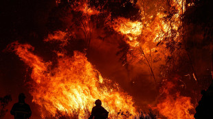In Portogallo tre grossi incendi impegnano 2.000 pompieri
